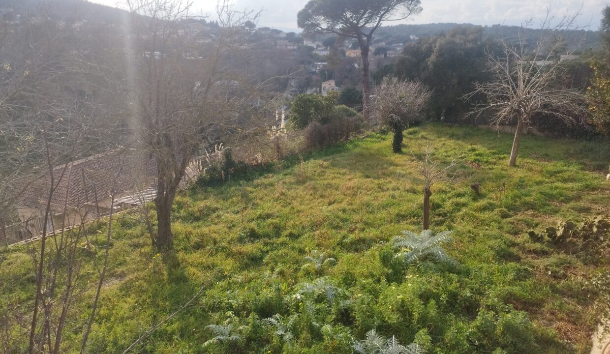 Jardi amb raig de sol